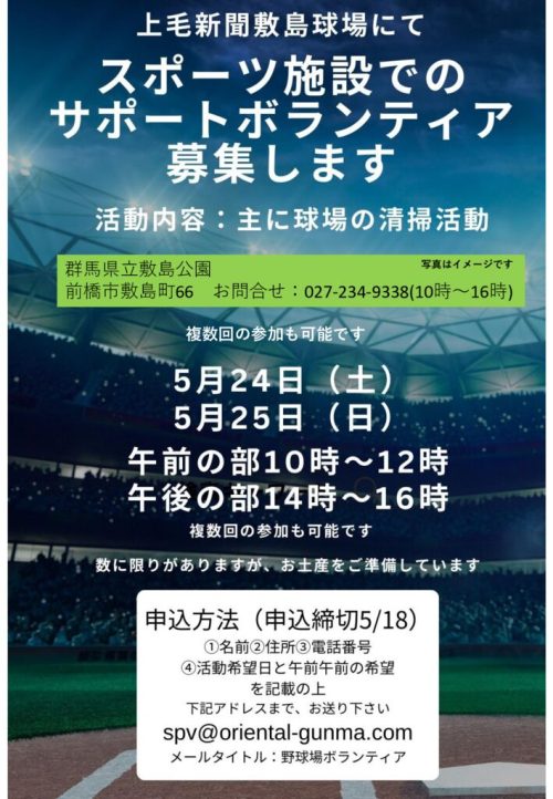 野球ボラ募集チラシのサムネイル