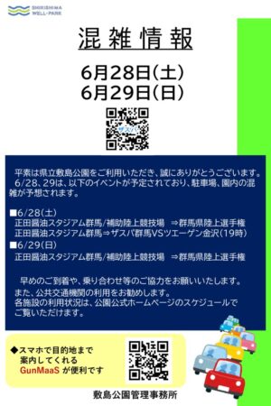 ファイルのサムネイル画像です