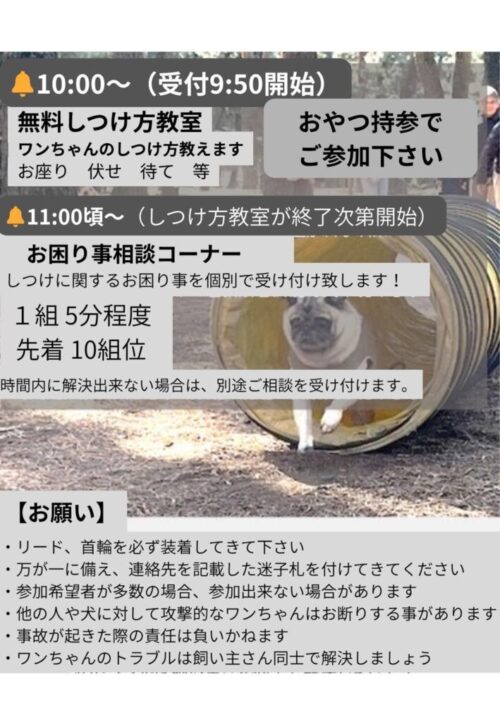しつけ教室のサムネイル
