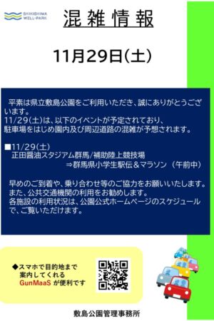 ファイルのサムネイル画像です