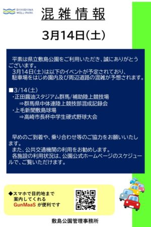 ファイルのサムネイル画像です